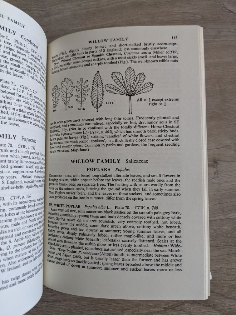 Collins pocket guide to wild flowers, книга про рослини