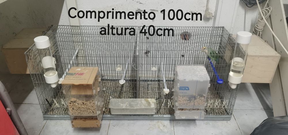 Gaiolas de pássaros