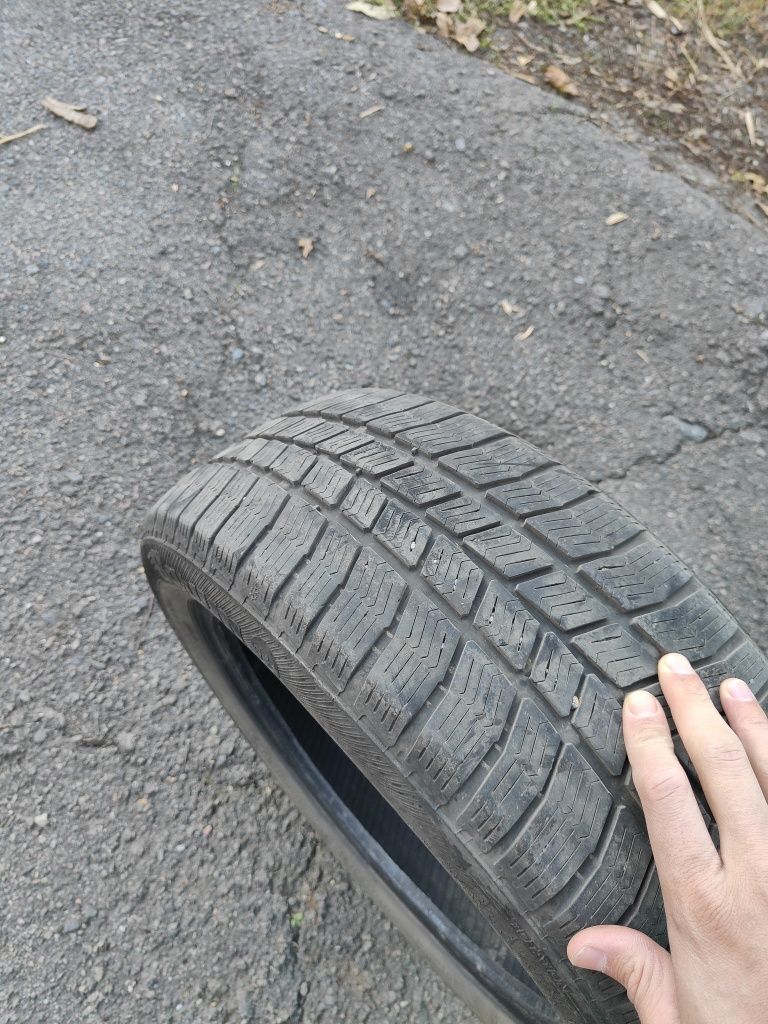 Шина Barum 185/55 R15 зима