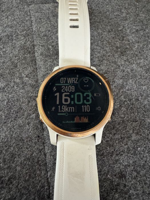 GARMIN fenix 6S Sapphire