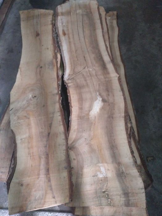 Deska orzech włoski tarcica foszt 2m