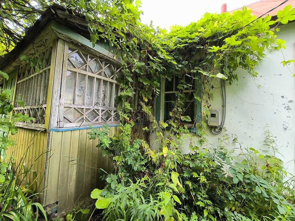 Продам жилий будинок та 71сот.землі в с.Грузьке.Тихе місце.