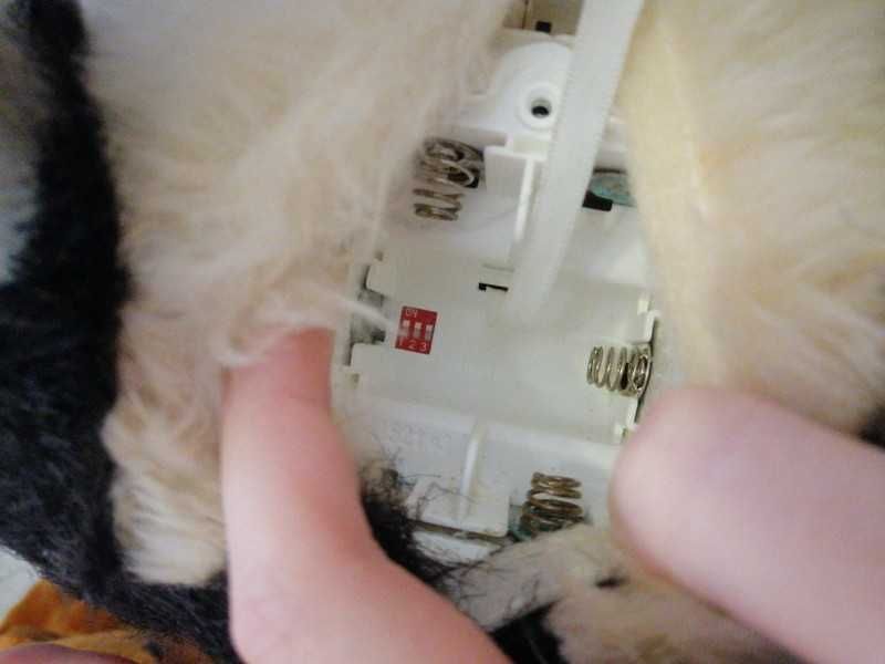 Husky peluche cão