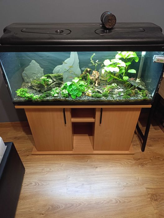 Zestaw akwarium 160 L wymiary 100x40x40