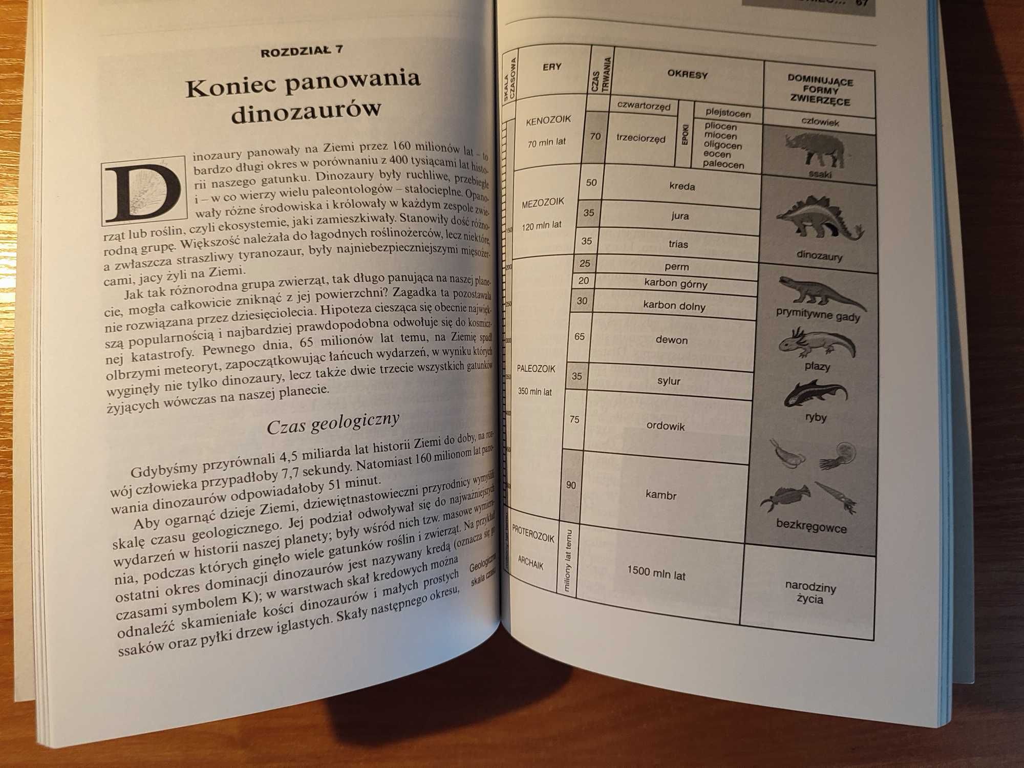 Kosmiczne katastrofy, Dana Desonie