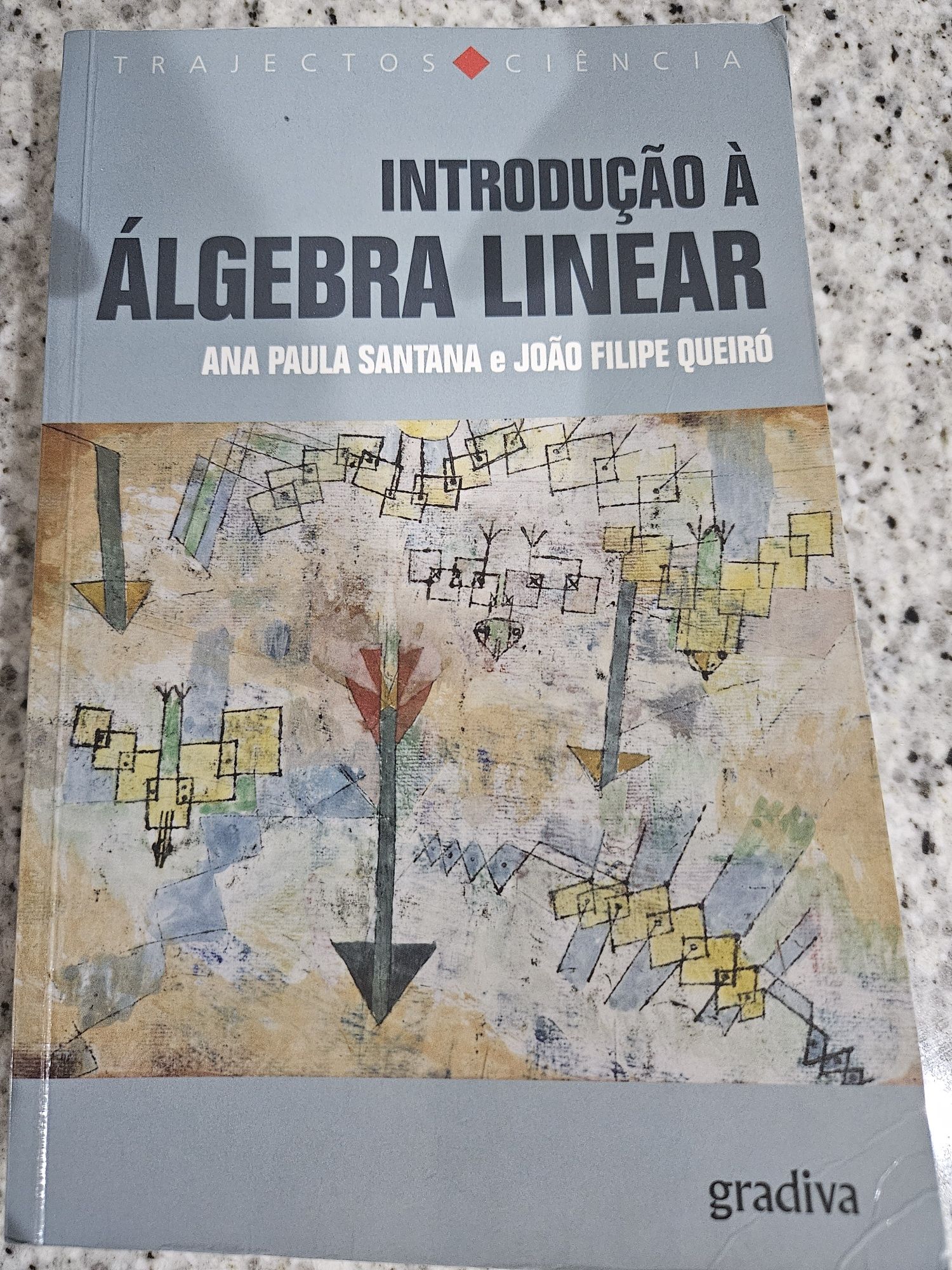 Introdução à Algebra Linear