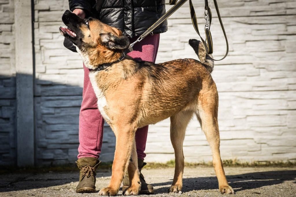 Pati- dziewczyna z charakterem szuka swojego miejsca!