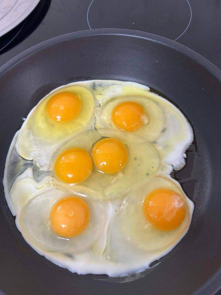 Домшние яйця