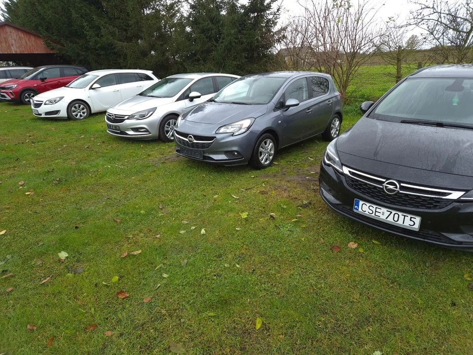 Opel Corsa Silnik 1.4 Kamera,parki Duże radio mały przebieg model '19r