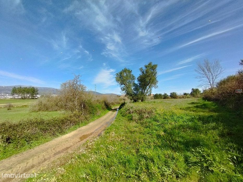 Quinta/Terreno - Monte Serrano - Ferro