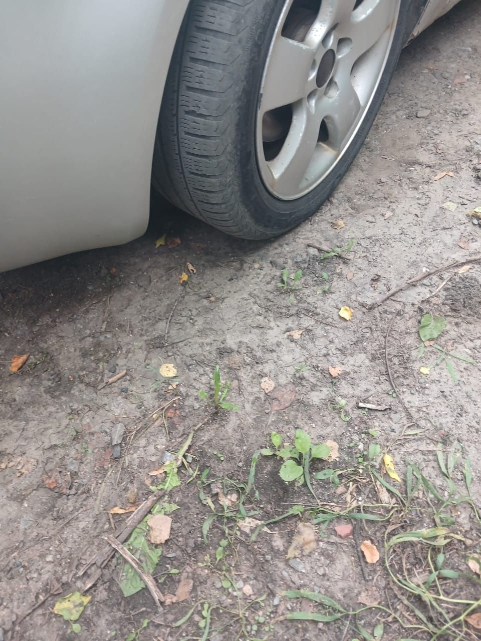 Продам Skoda superB