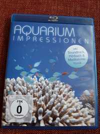 blu-ray film aquarium