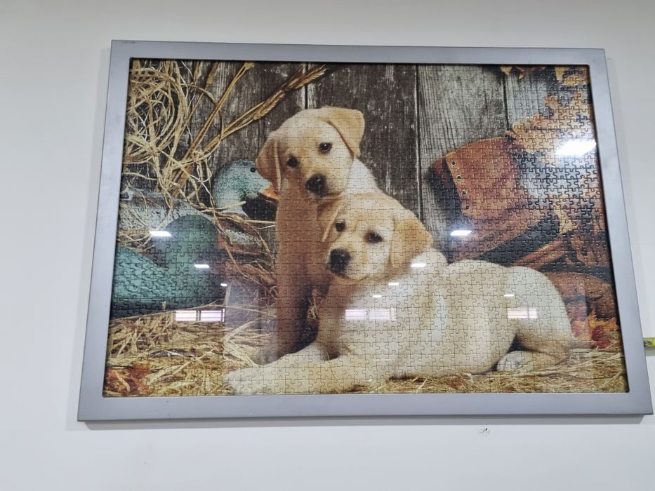 Puzzles montados