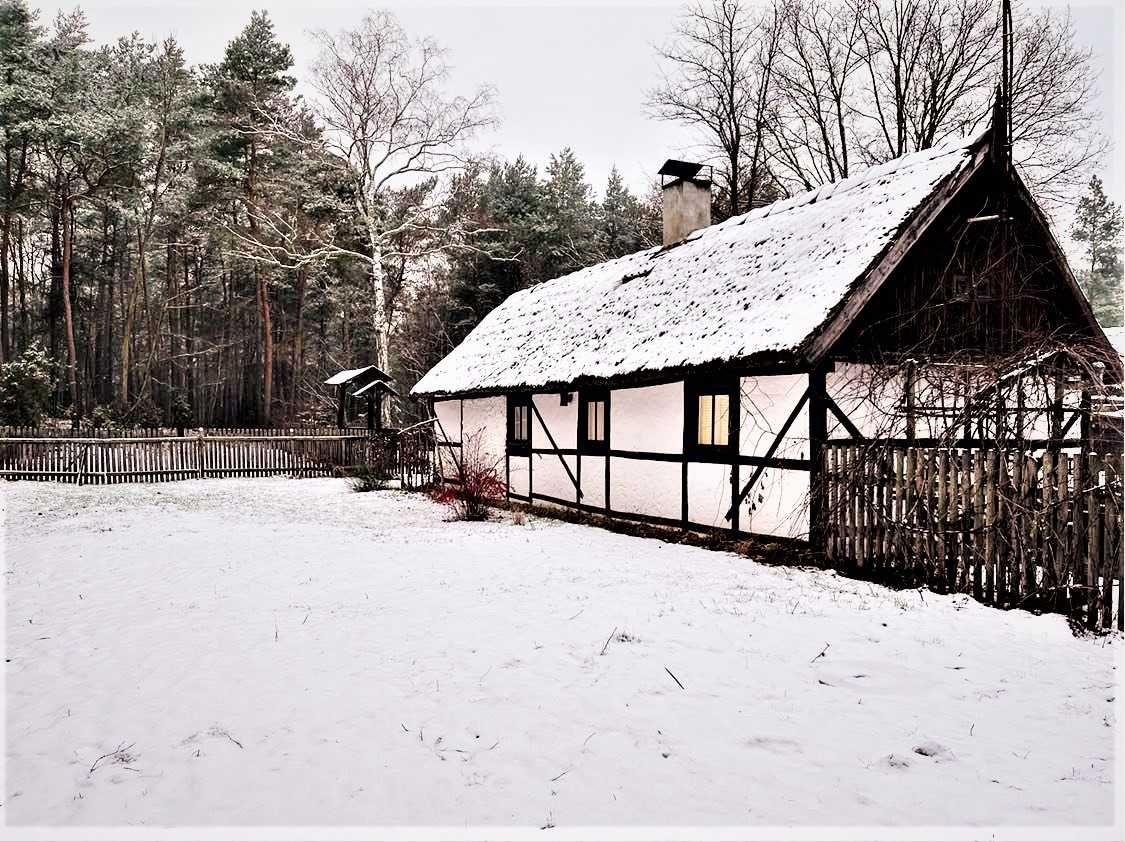 "Bibianna Serce Lasu" - domek w lesie do wynajęcia, woj. wielkopolskie