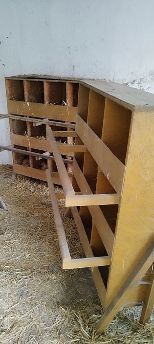 Gniazda dla kur z 9 przegrodami