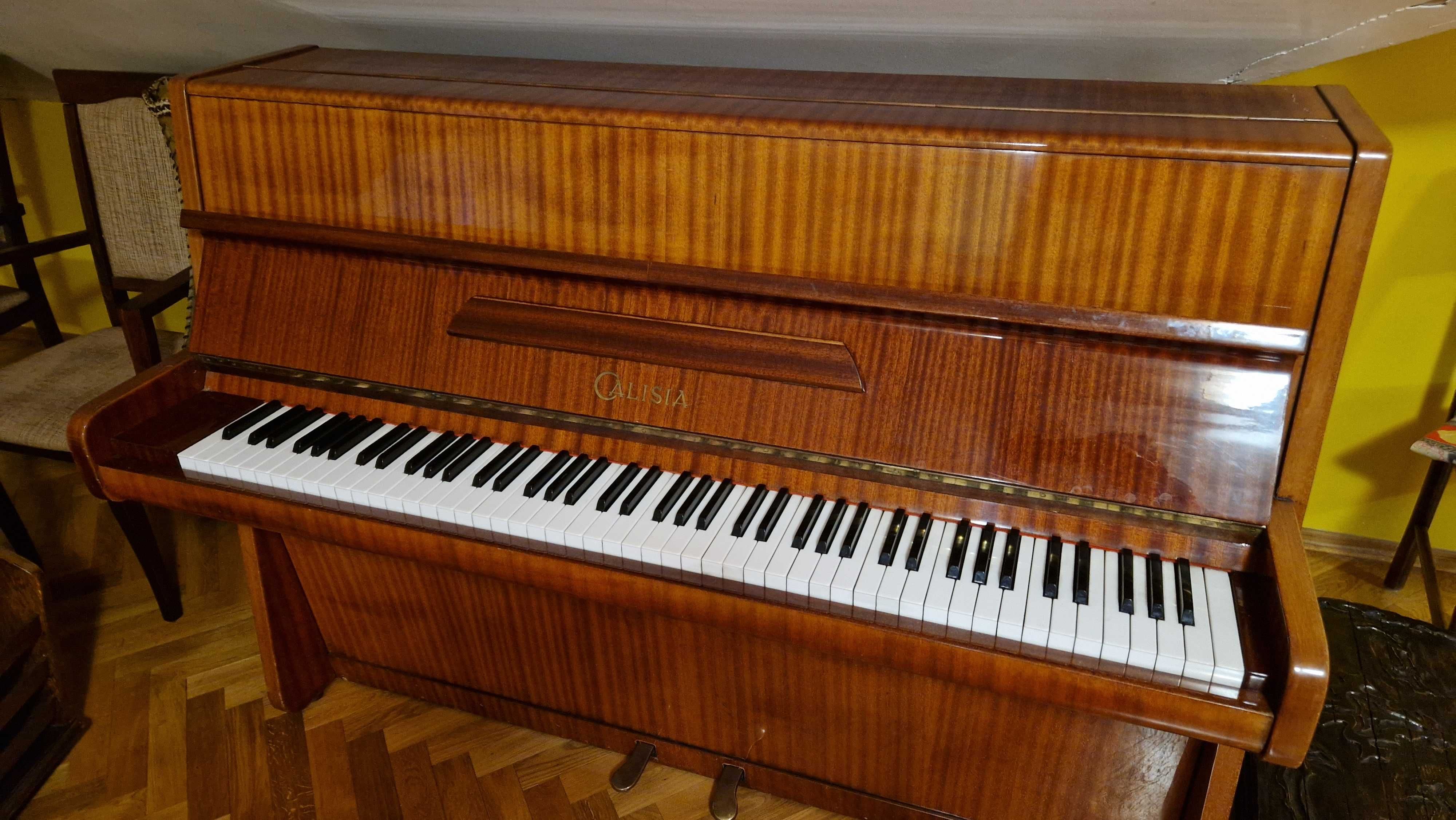 Pianino Calisia m40