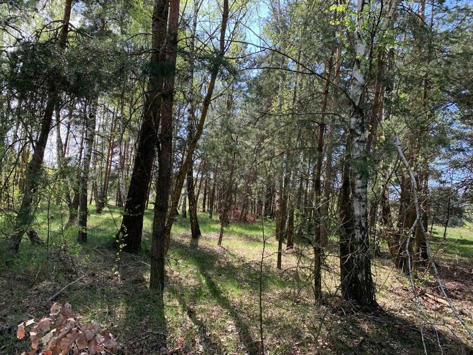 Земля під базу від починку біля озера в Лісовичах! Комунікації поруч