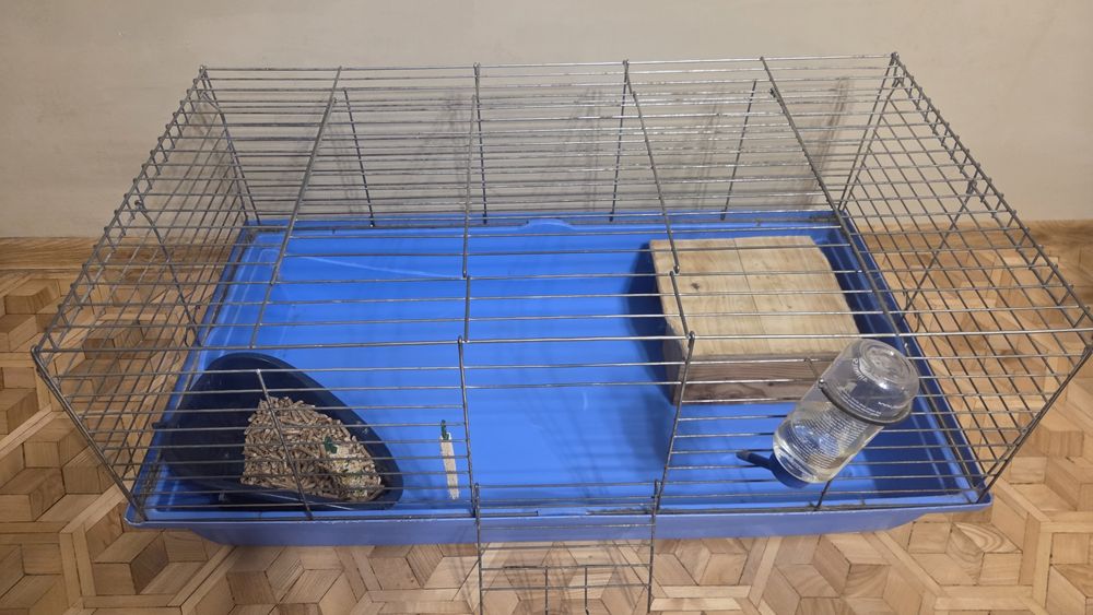 Królik miniaturka zestaw klatka