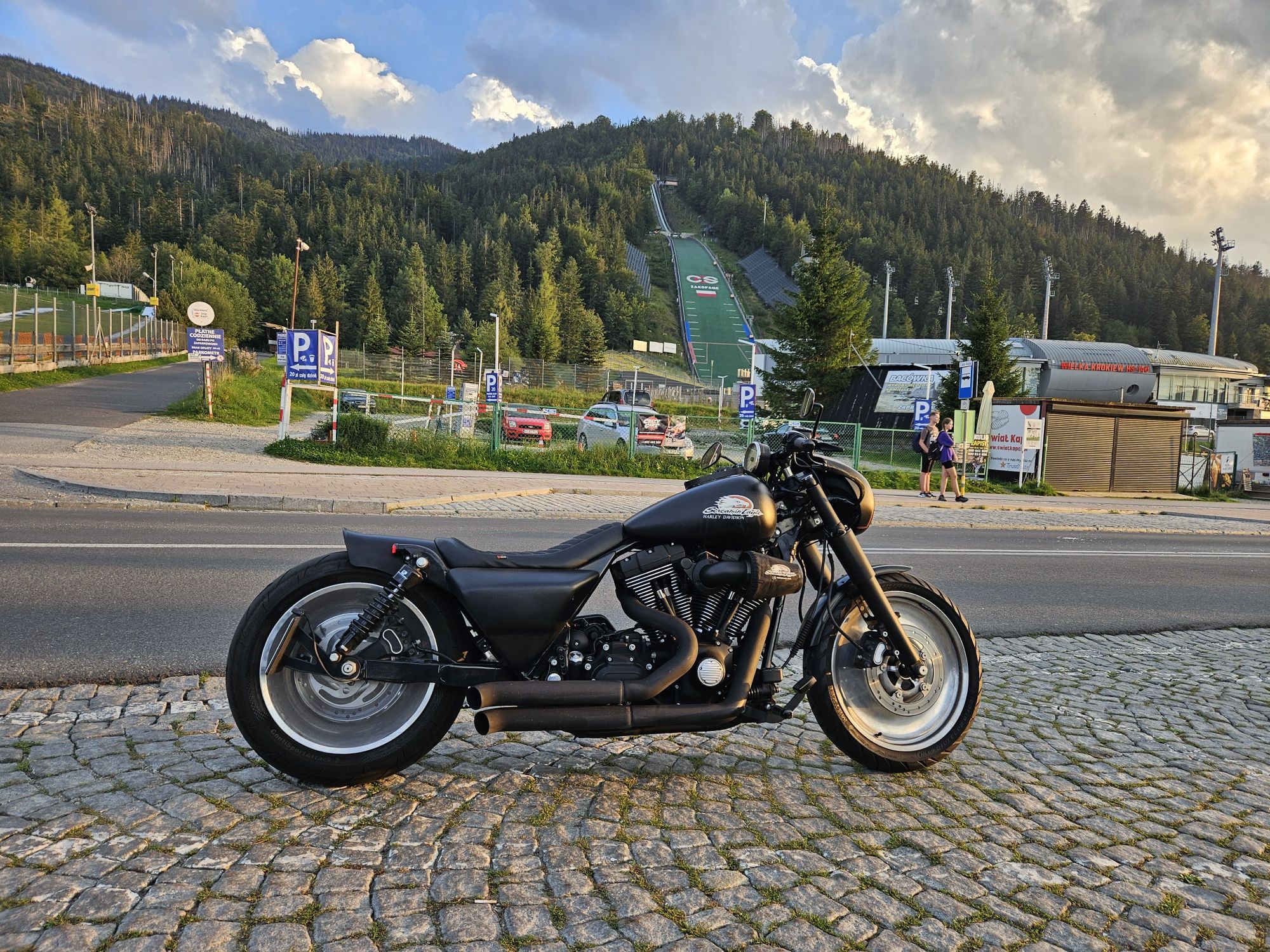 Harley Davidson Road King ,Custom, Drag, Bobber