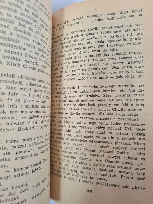 W pustyni i w puszczy - Henryk Sienkiewicz