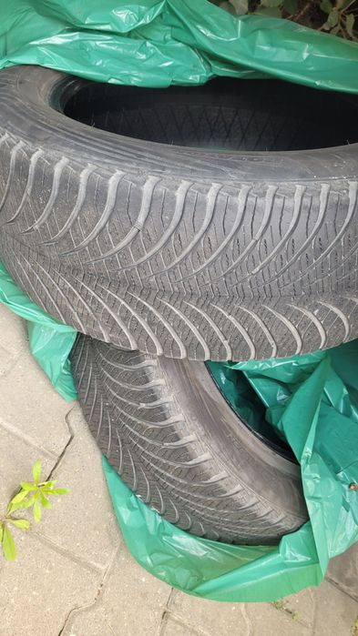 2 opony Goodyear caloroczne