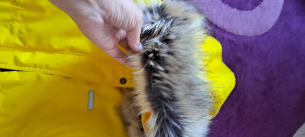 Продам парку Lenne