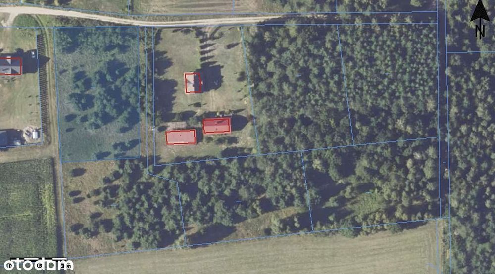 Działka z warunkami zabudowy pod lasem