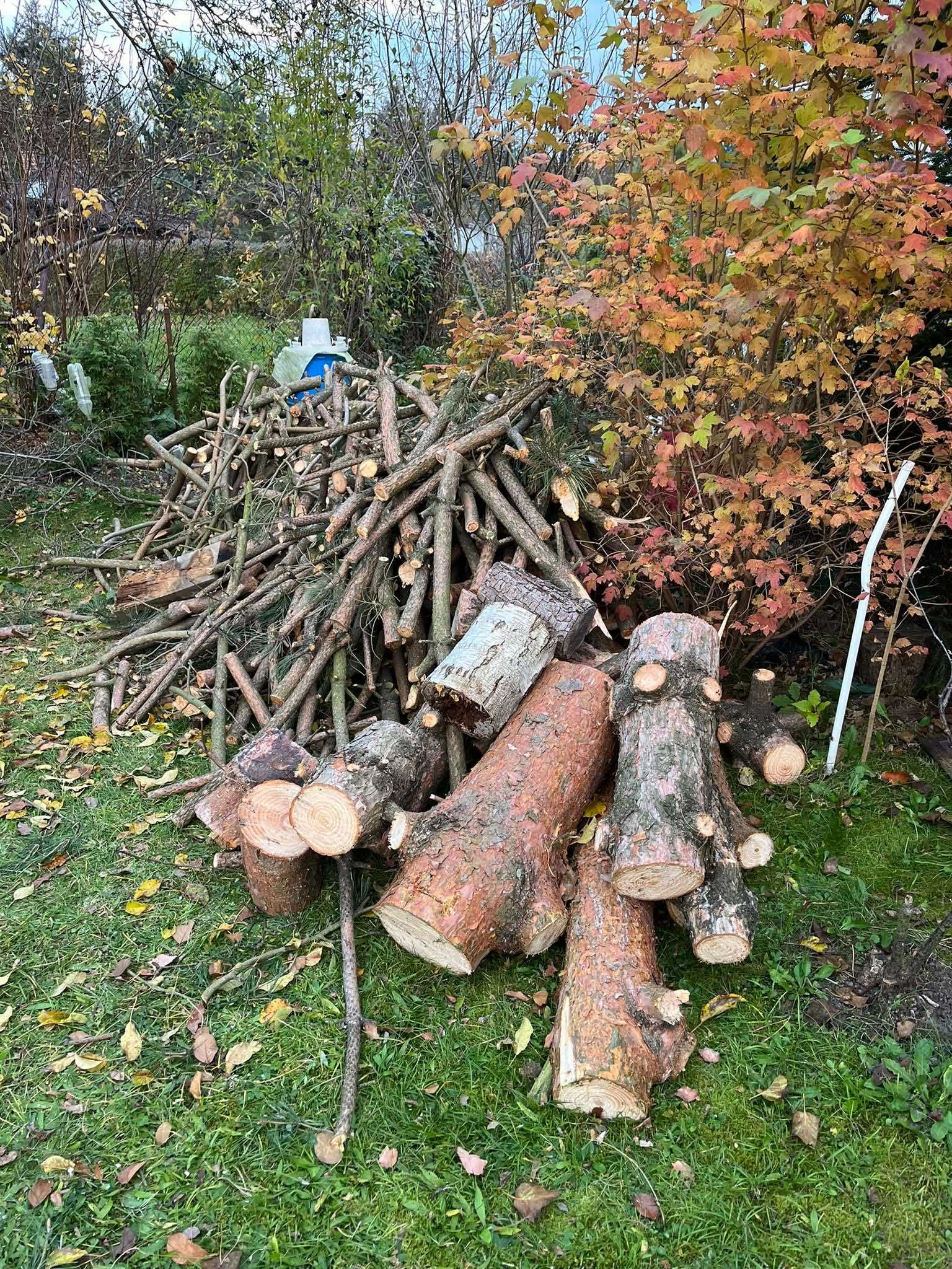 Sprzedam DREWNO sosnowe