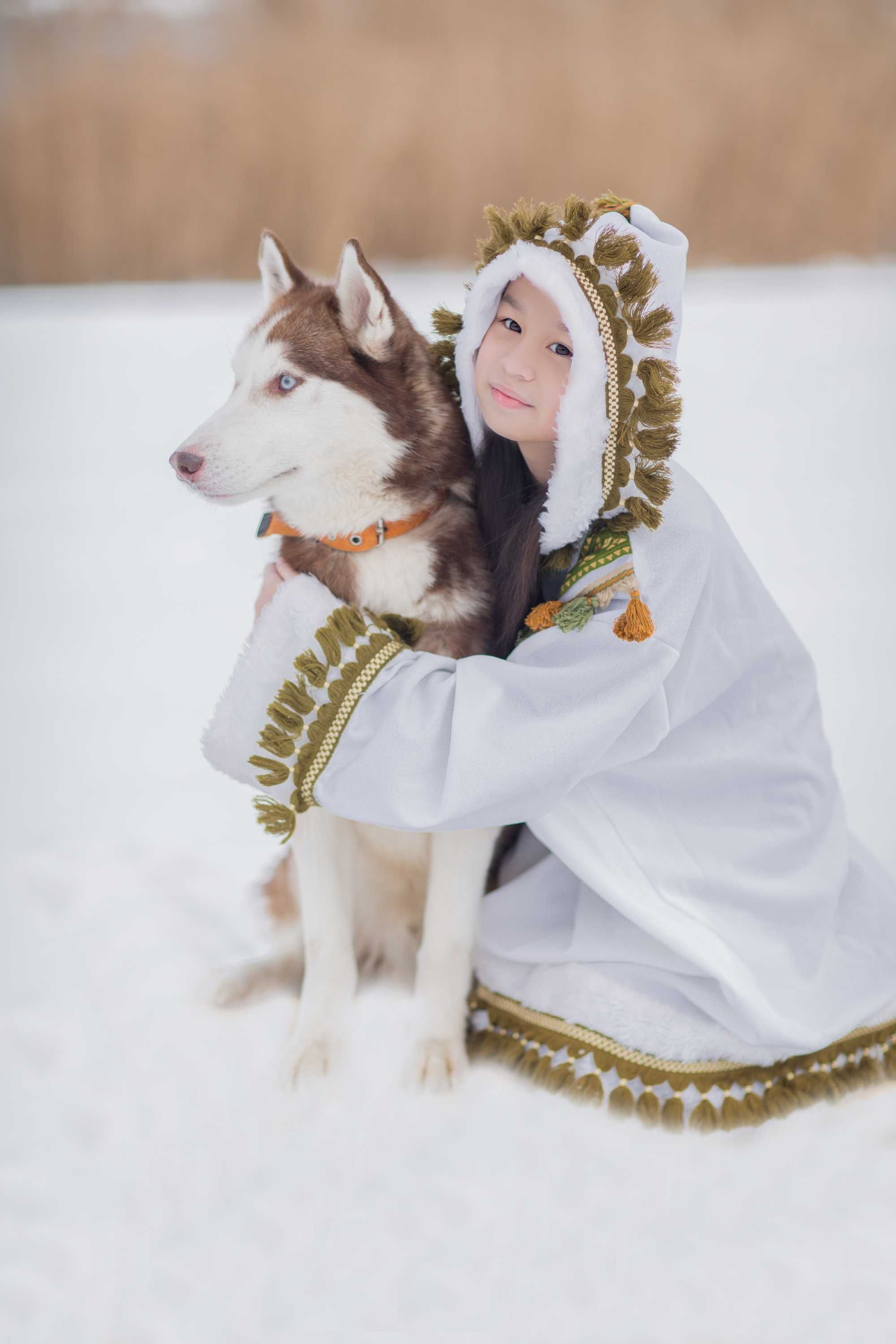 Сибірський хаскі для вязки