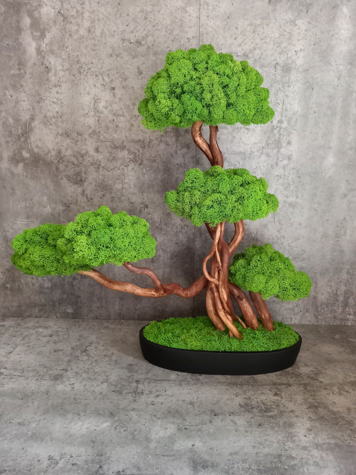 Dekoracja do domu, biura. Drzewko Bonsai. Mech  Chrobotek. Prezent.
