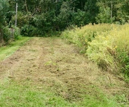 Koszenie/czyszczenie działek, porządkowanie terenu