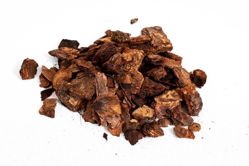 Przepiękna Kora ręcznie sortowana AŁTAJ PREMIUM- TRANSPORT GRATIS