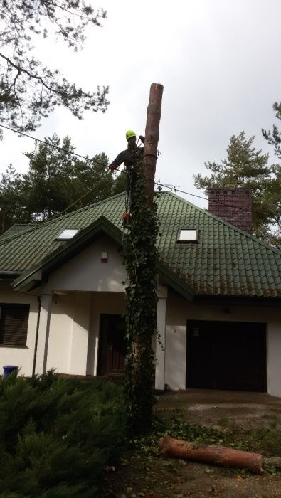 Wycinka drzew, podnośnik koszowy, rębak do gałęzi