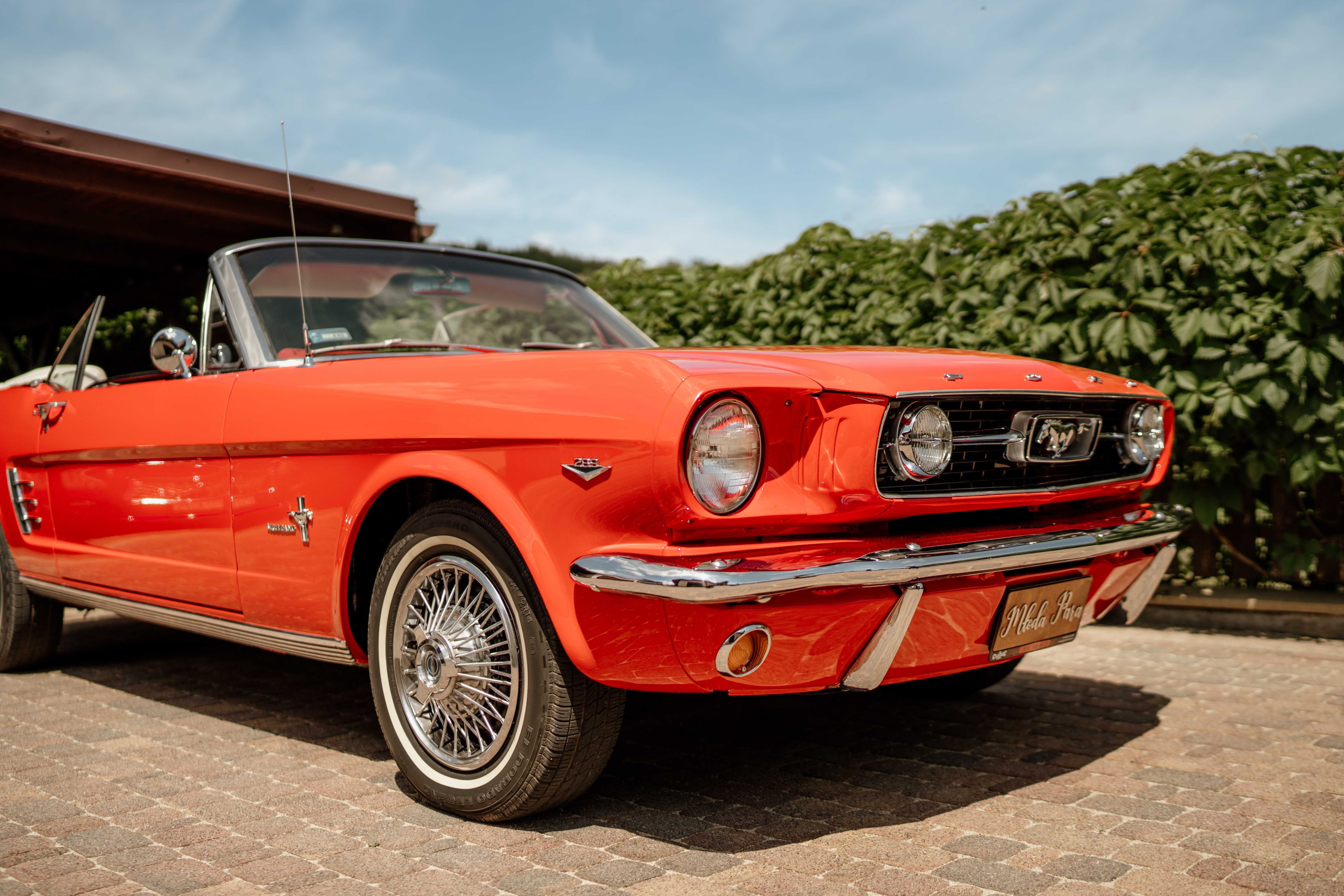 Zabytkowy samochód do  Ślubu. Mustang Cabrio 1966