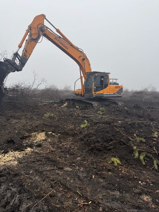 Корчевание деревьев