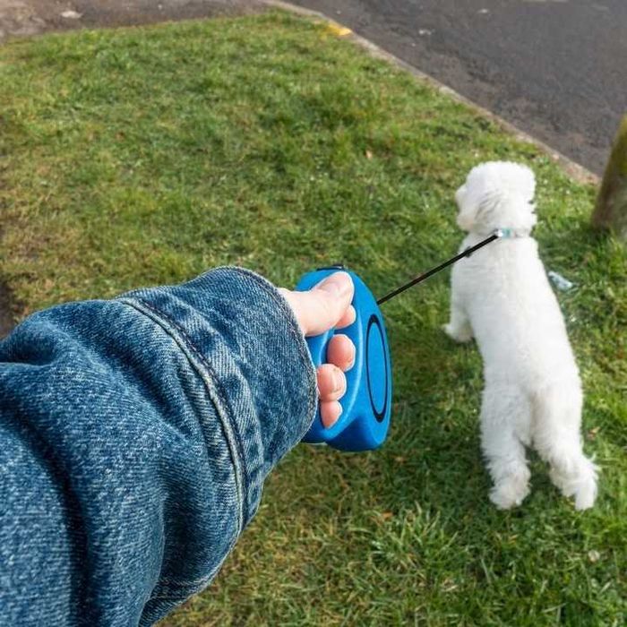 SMYCZ dla PSA KOTA AUTOMATYCZNA ZWIJANA Taśma z Blokadą 5m do 15 kg