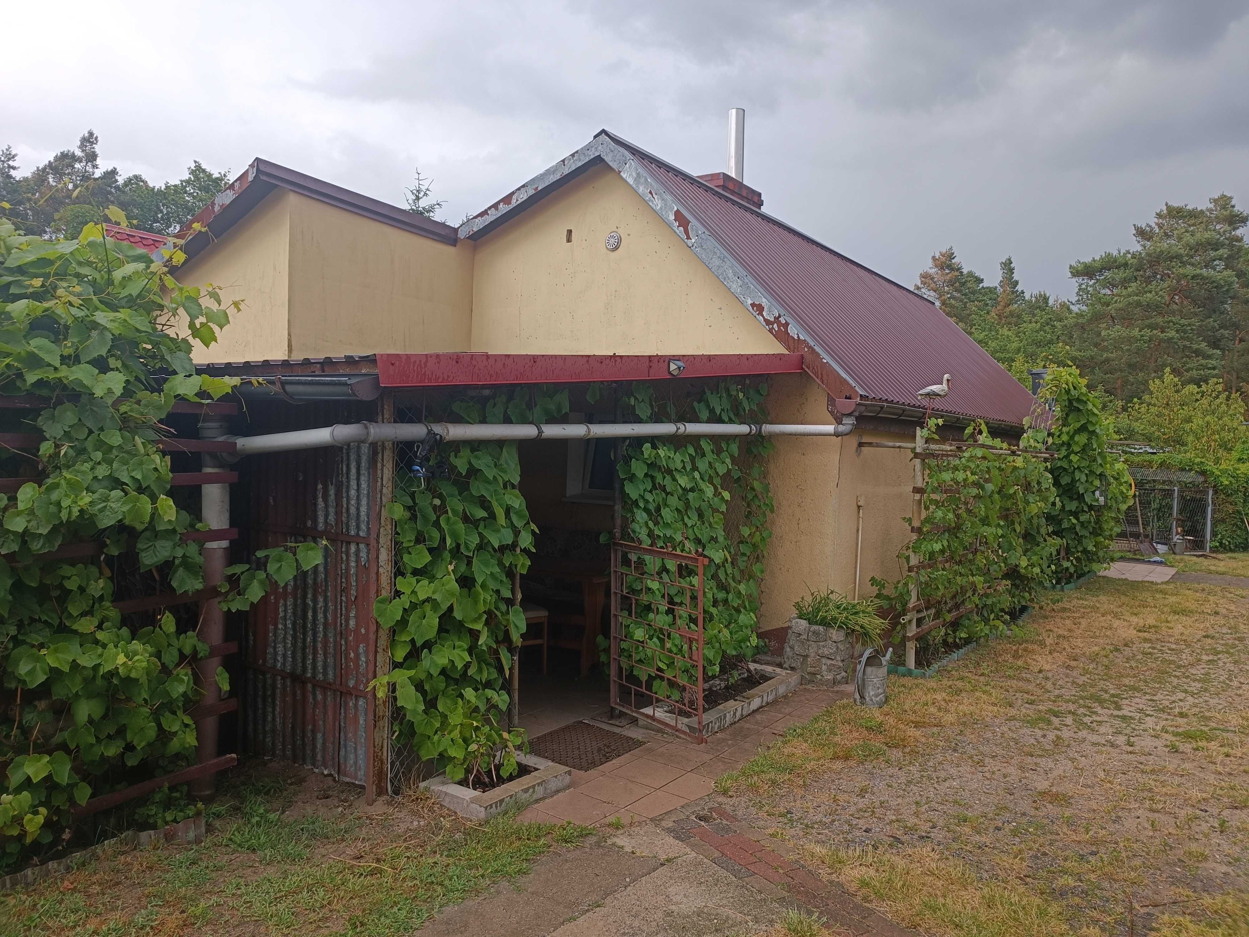 Domek do wynajecia