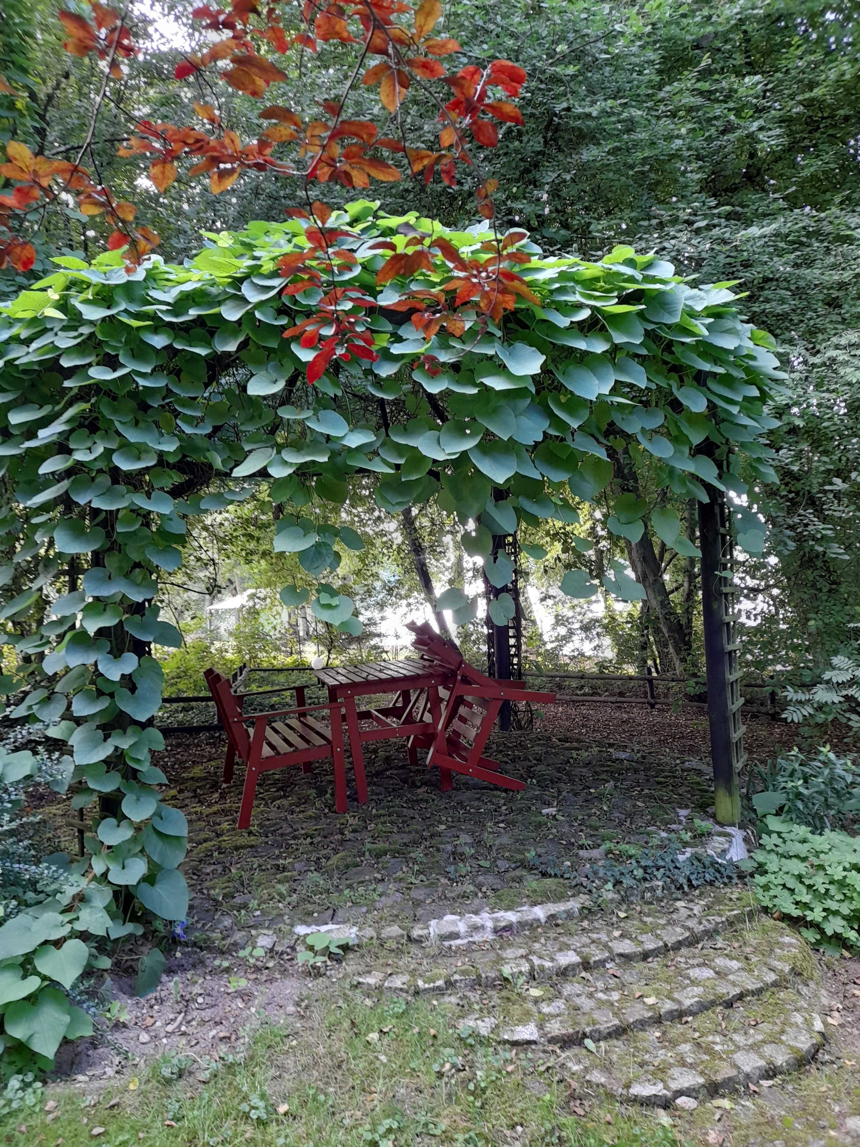 Odsapka - uroczy domek dla 7 osób nad jeziorem Dołgie, b. blisko wody