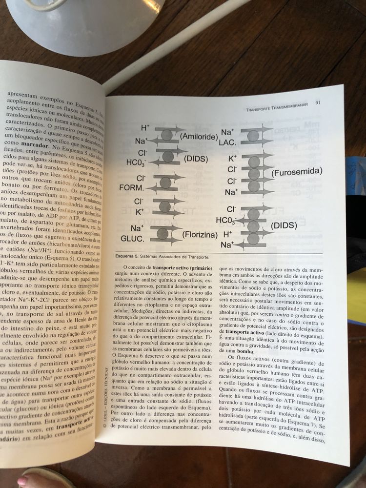 Livro Biologia Celular e Molecular - Carlos Azevedo