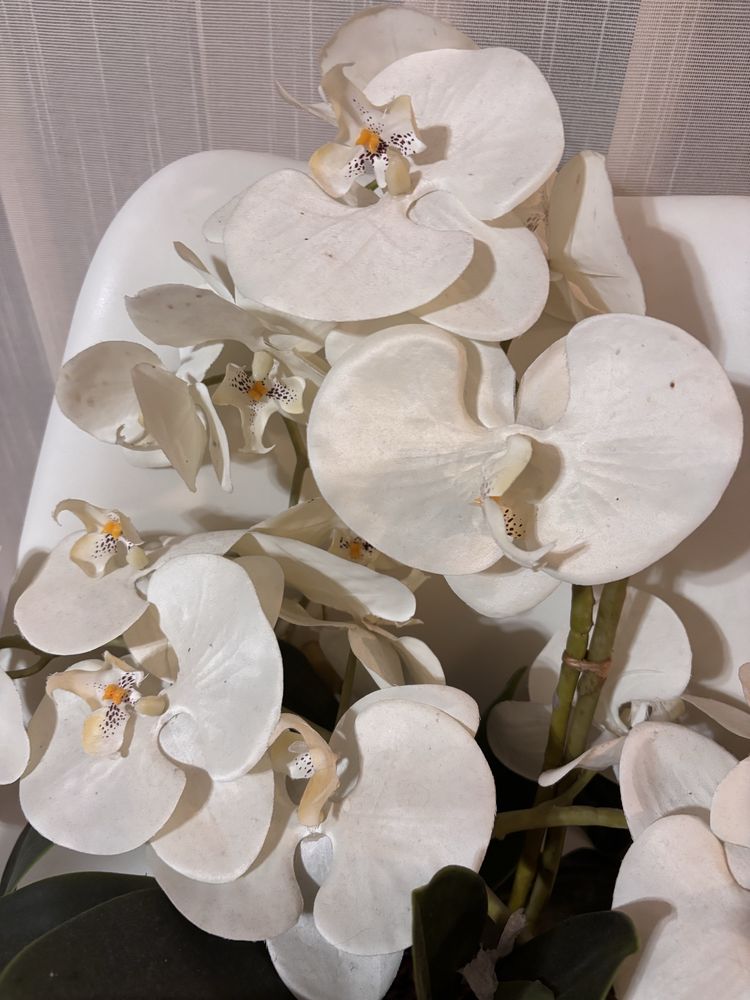 Kwiat,ozdoba,Sztuczna orchidea w doniczce