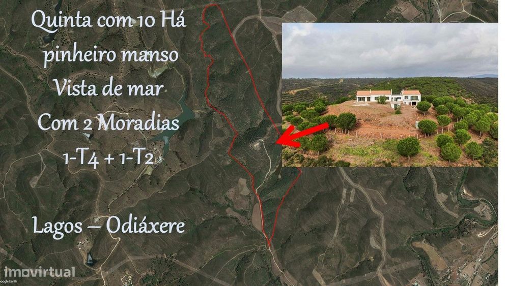 Quinta em Lagos, com 2 Moradias T4 e T2 em lote de 100ha de pinhak