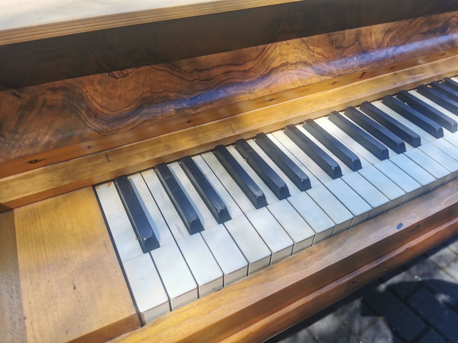 Akwarium z szafką PROMOCJA 410l OPTI 140x45x65 new Design piano szafka
