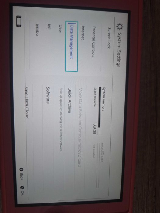 Nintendo switch lite