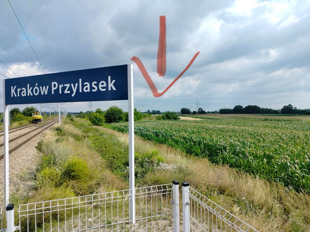 Dzialka rolna 77 ar Przylasek Wyciąski
