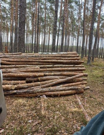 Sosna cięta na zamówienie! Mozliwosc zakupu łupanego