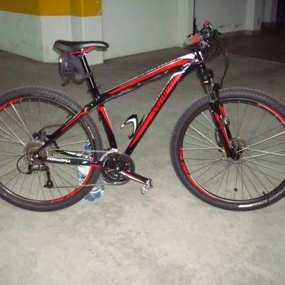 Bicicleta adulto