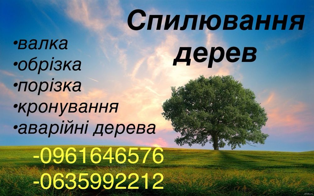 ЗРІЗАННЯ ДЕРЕВ (аварійні ділянки)