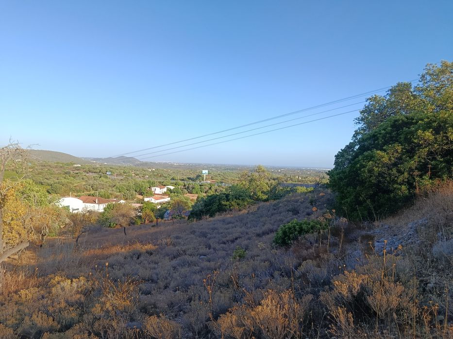 Terreno rústico Boliqueime