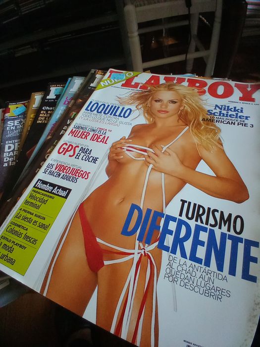 Lote 10 revistas Playboy 20€