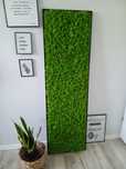 Obraz z mchu chrobotka, panel z mchu, rama mech, dekoracja z mchem
